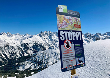 Das Bild zeigt balzende Birkhähne. Der Link führt zur Seite "Im Fokus" mit näheren Informationen zu Schutz- und Schongebieten.