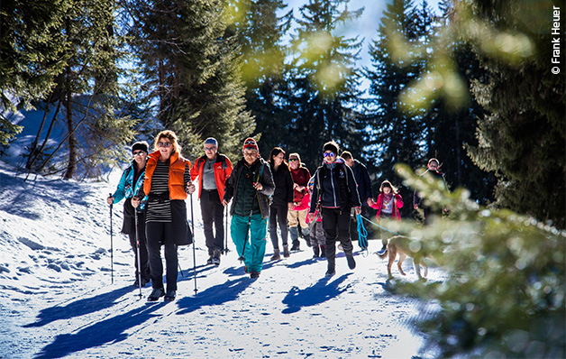 Eine Gruppe Personen ist auf einem Winterwanderweg mit einer Rangerin unterwegs.