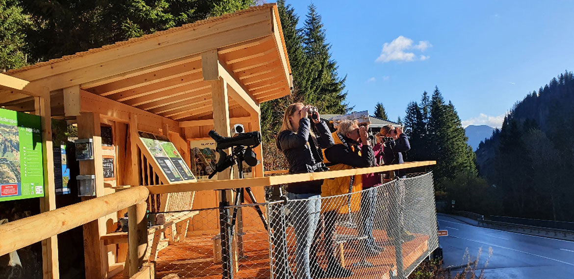 Die Gemsbeodachtungsstation am Riedbergpass