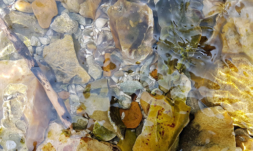 Bild von Steinen im Wasser