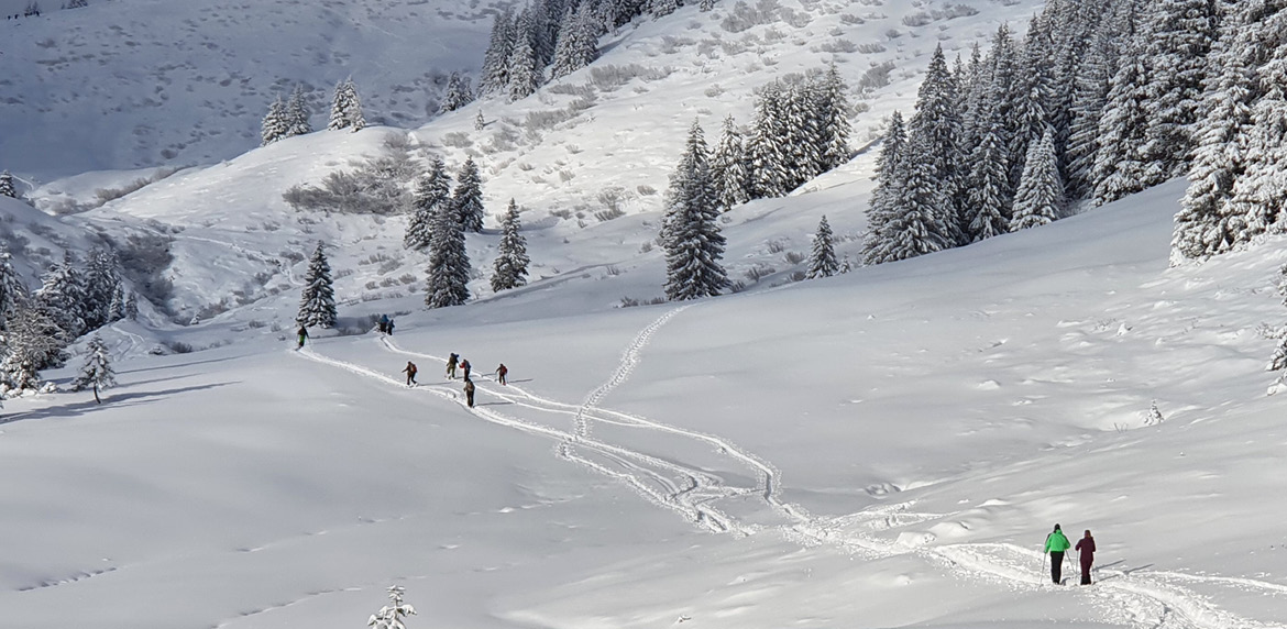 Bild eines verschneiten Bergs