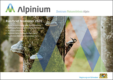 Titelseite der Rundbrief-Ausgabe November 2025